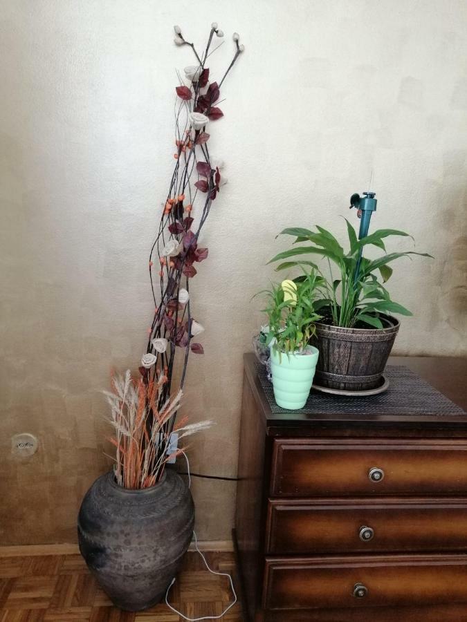 Apartman Maja Banja Luka Extérieur photo